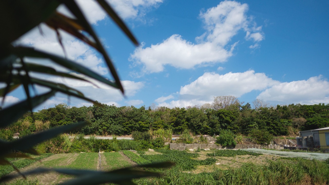 Photo of Outdoor in Okinawa