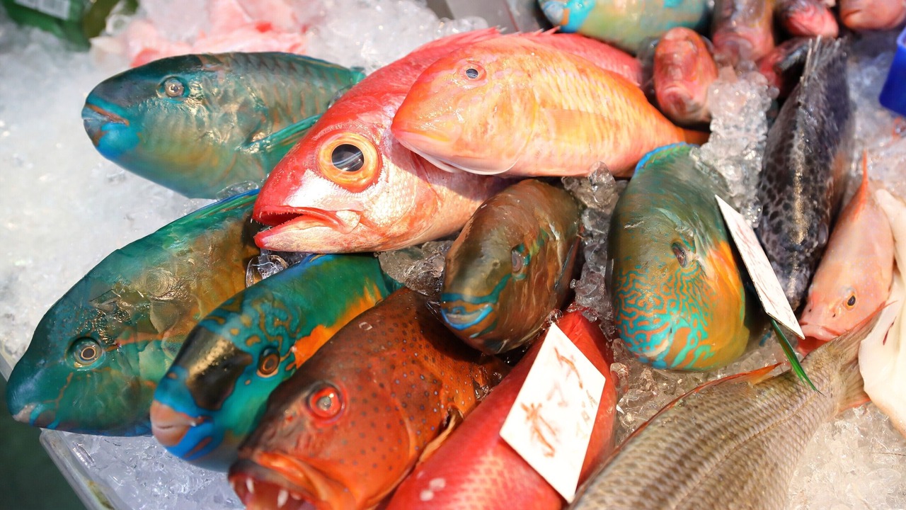 Photo of Others in Okinawa