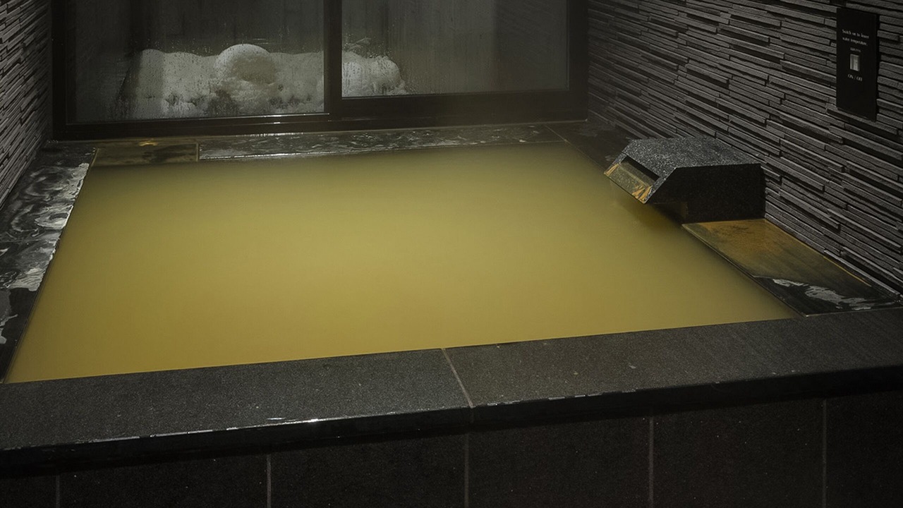 Photo of Bathroom in Hirafu