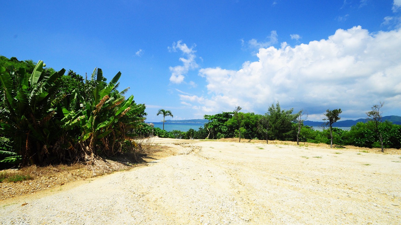 Photo of Others in Taketomi-jima Taketomi-cho