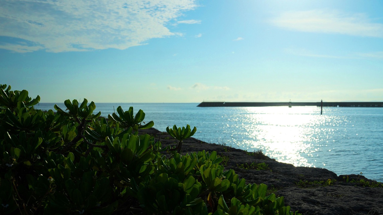 Photo of Others in Okinawa