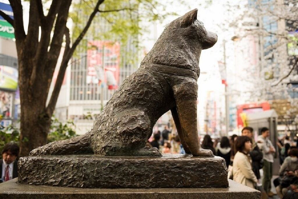 Photo of Outdoor in Dogenzaka