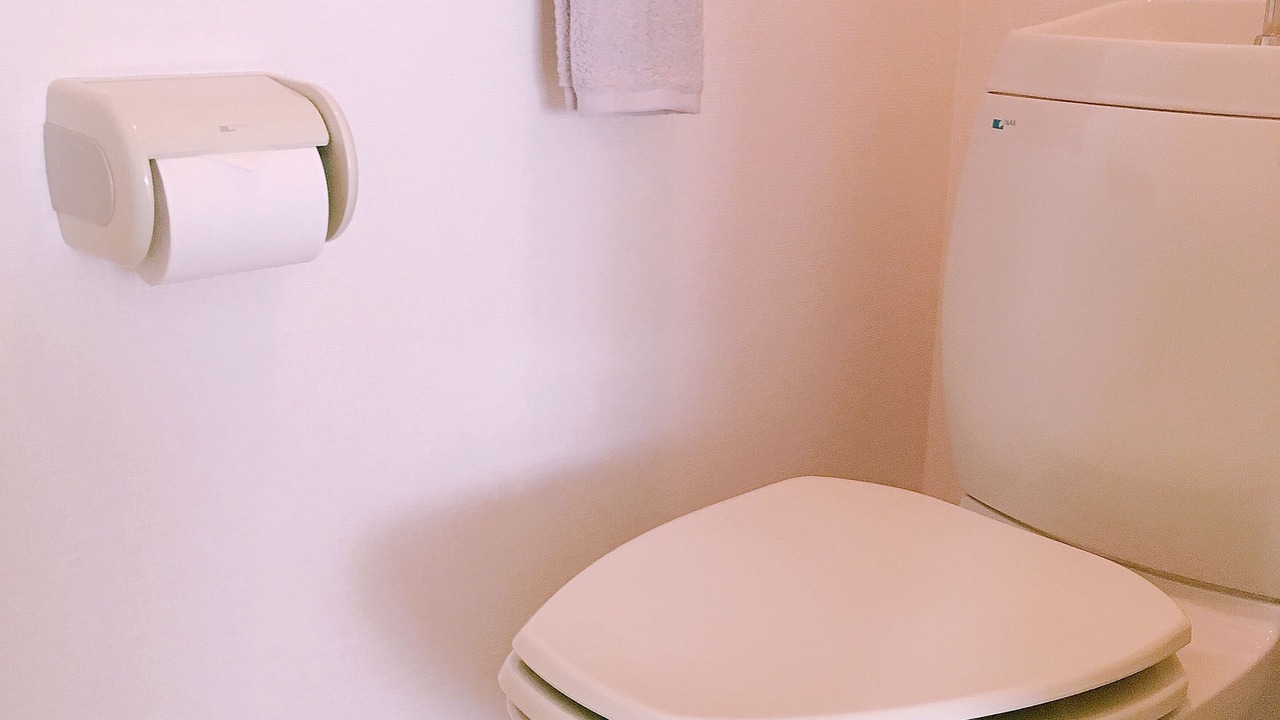 Photo of Bathroom in Tanimachi