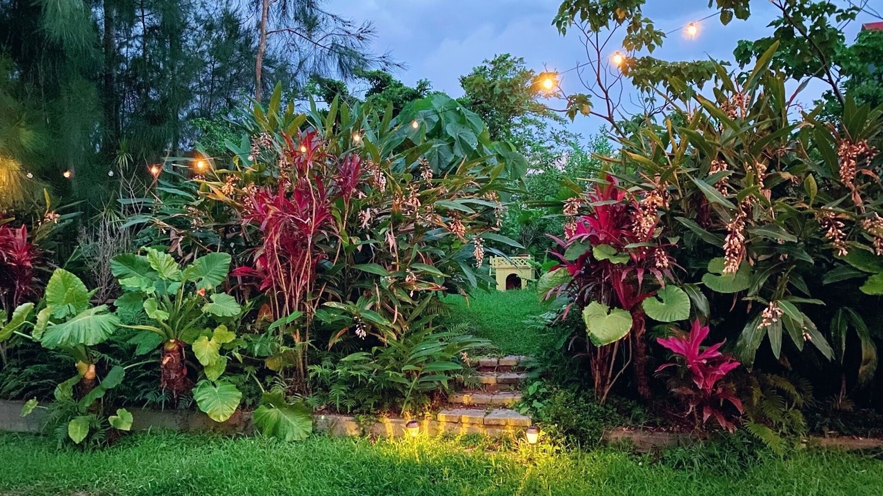 Photo of Outdoor in Nakama