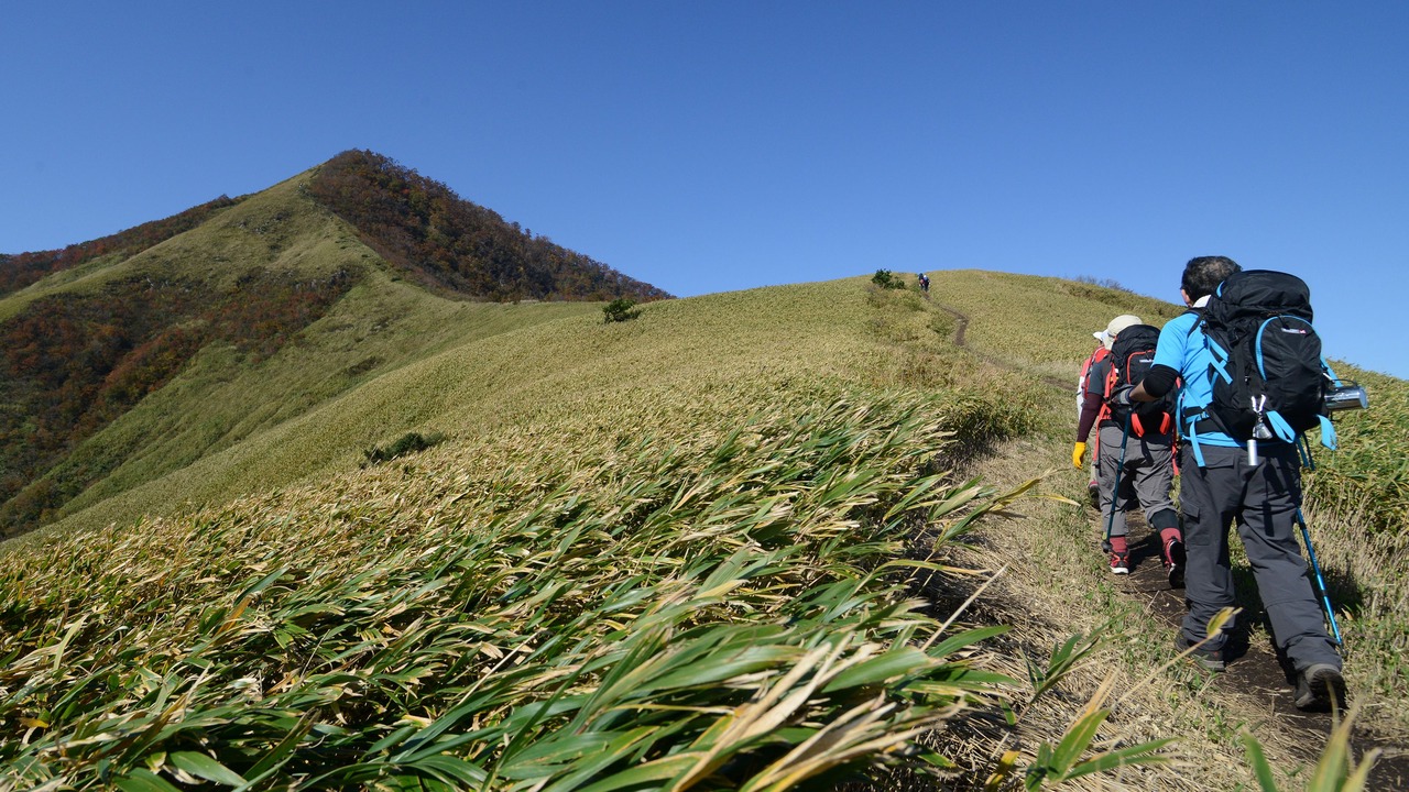 Photo of Outdoor in Kofu-cho