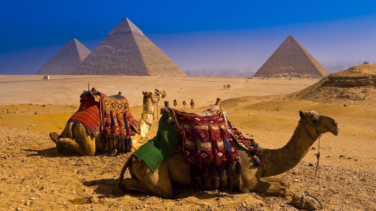 Photo of Others in New Cairo
