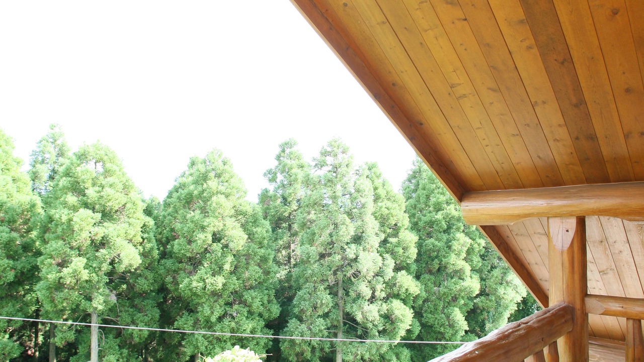 Photo of Patio Balcony in Kurokawa Onsen