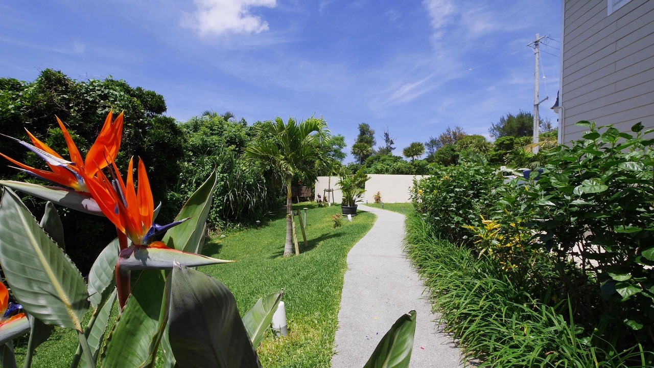 Photo of Outdoor in Motobu