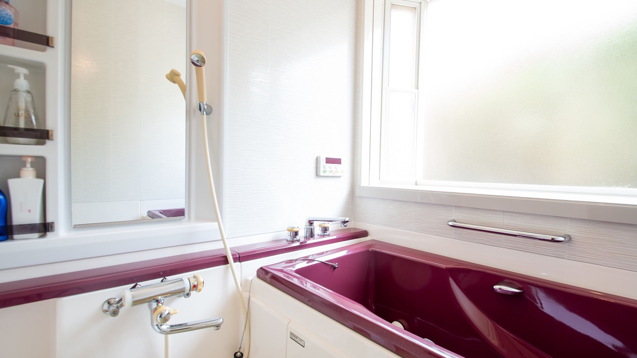 Photo of Bathroom in Hokota