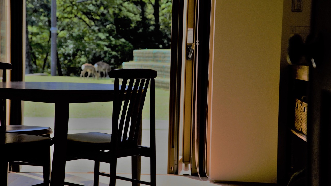 Photo of Bedroom in Nara