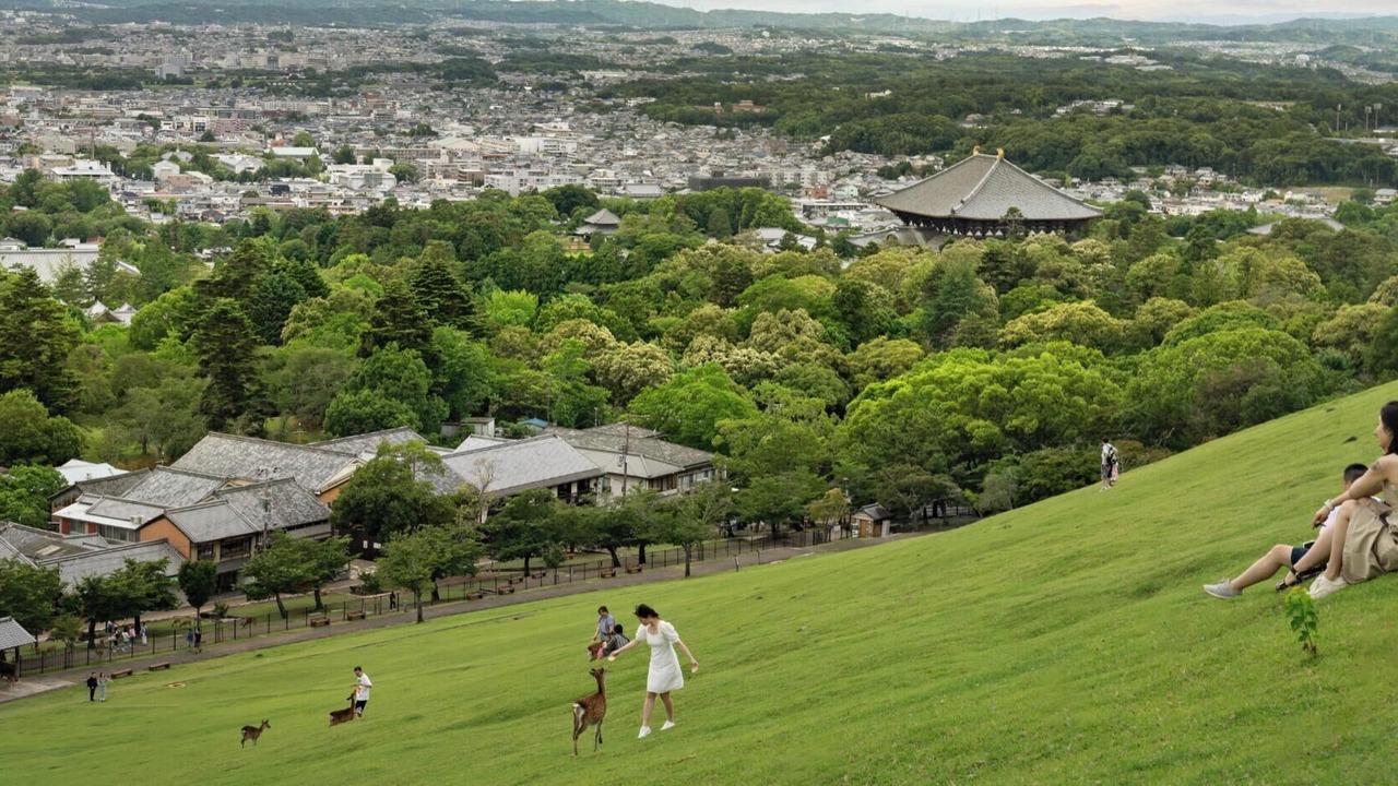 Photo of Outdoor in Nara