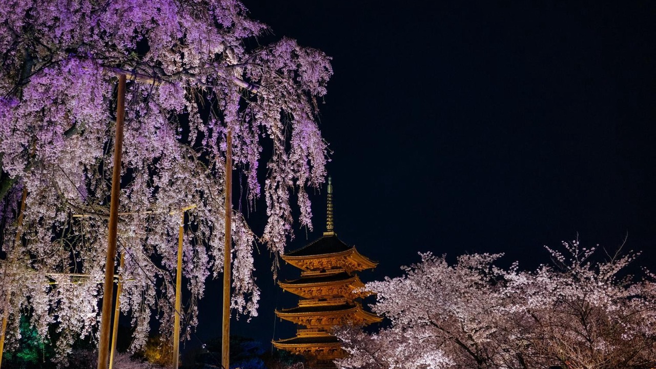 Photo of Outdoor in Nishijin