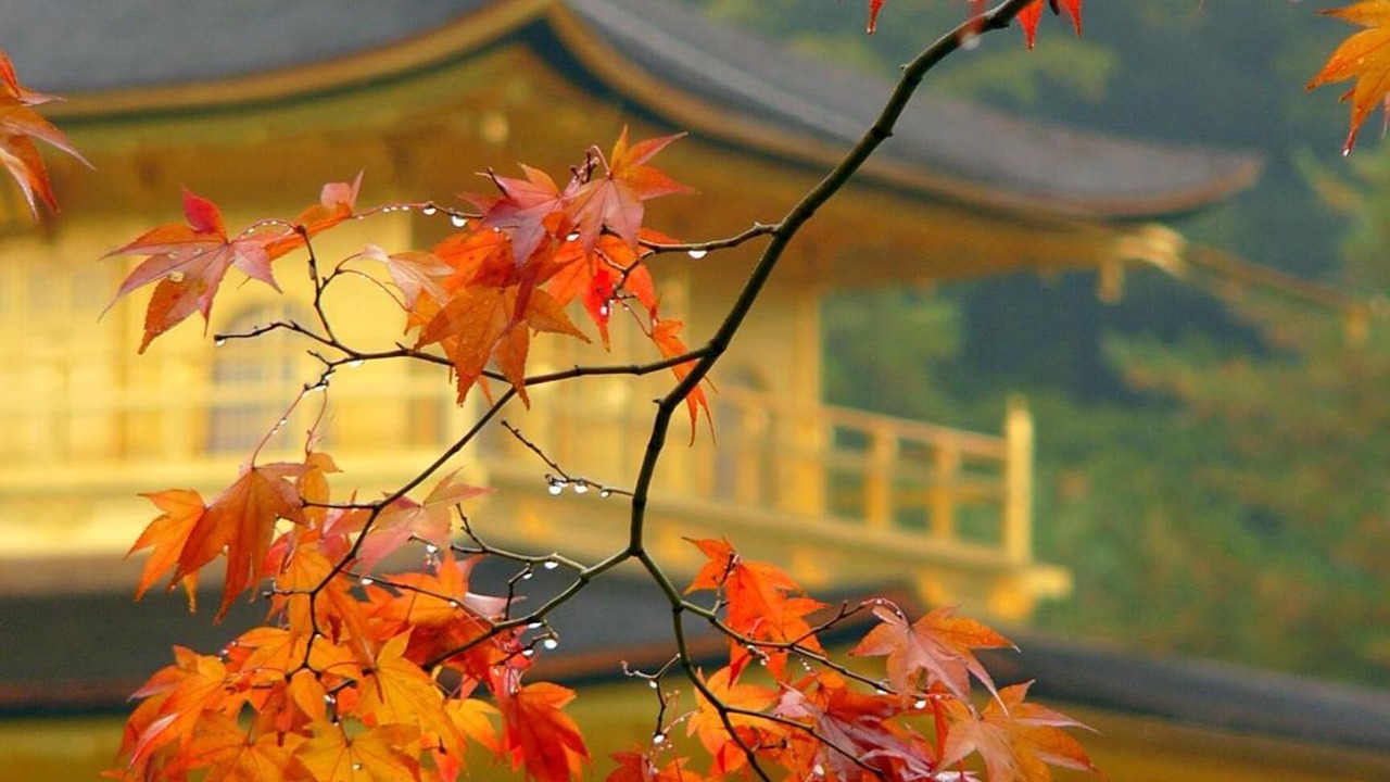 Photo of Outdoor in Nishijin