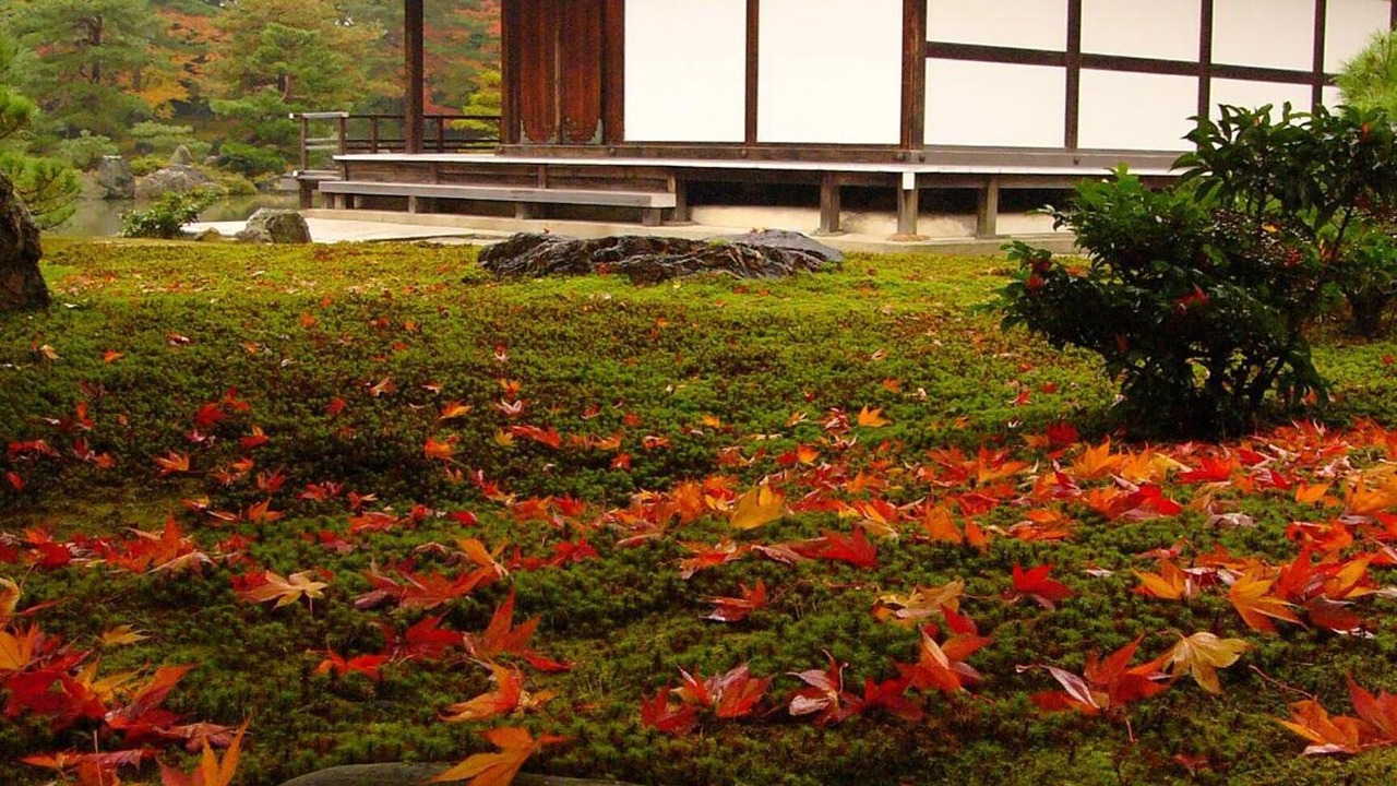 Photo of Outdoor in Nishijin
