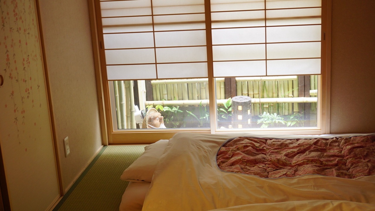 Photo of Others in Minami