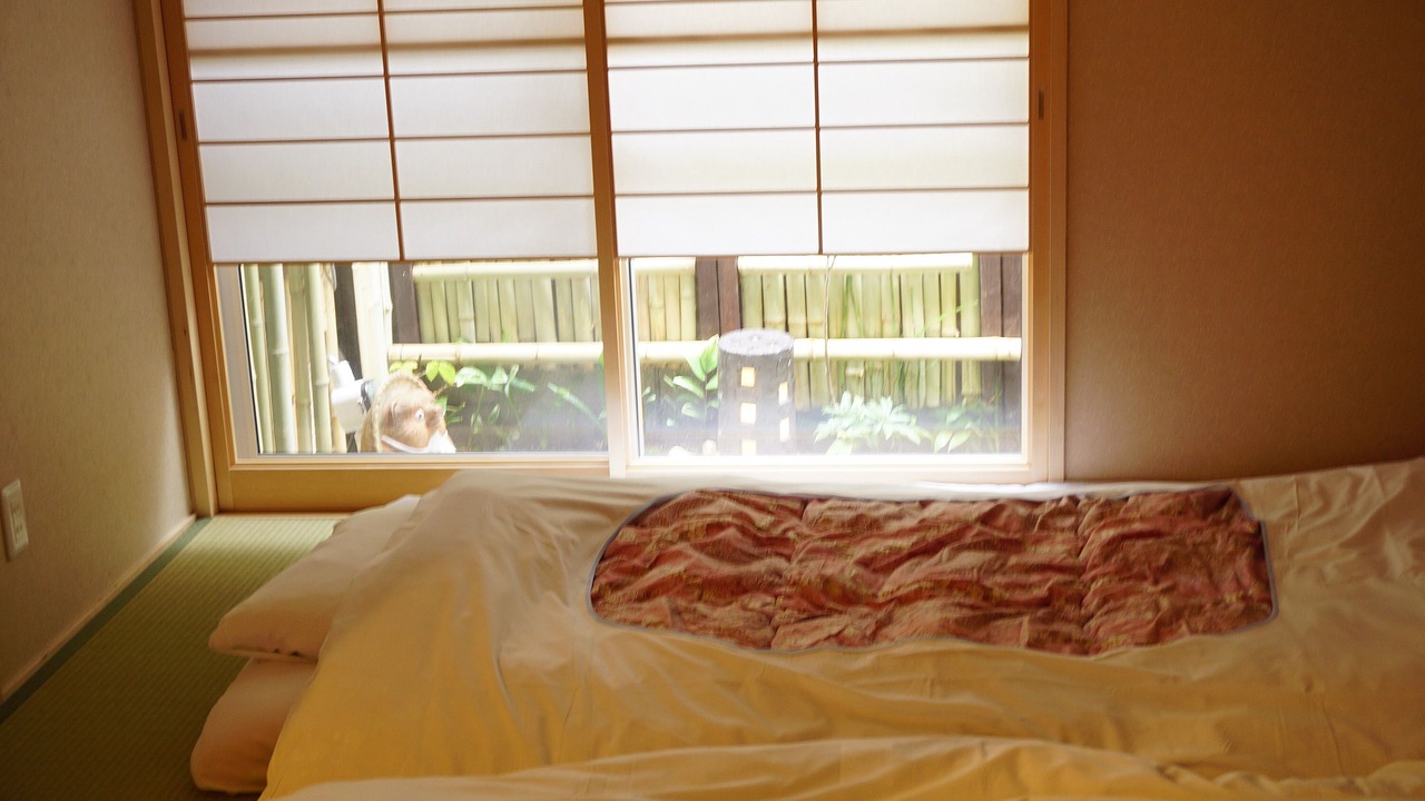 Photo of Others in Minami