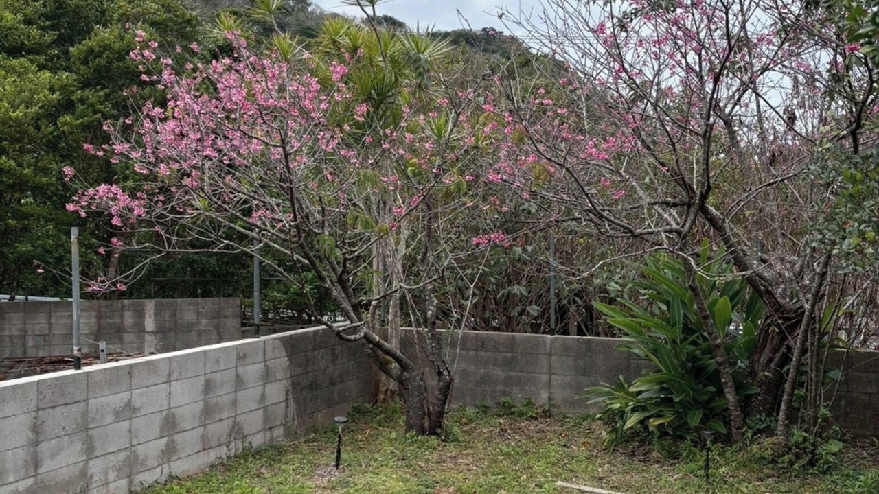Photo of Outdoor in Imadomari