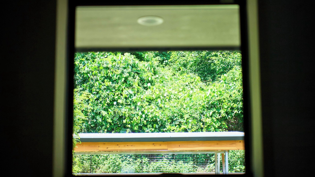 Photo of Bedroom in Kyonan