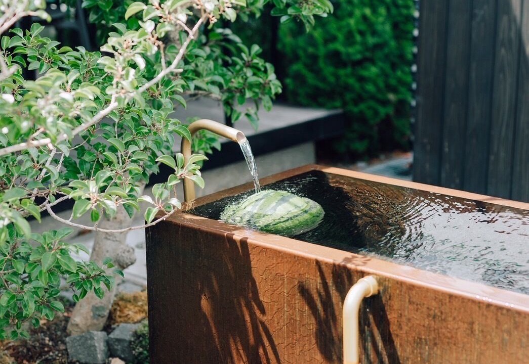 Photo of Outdoor in Matsumoto