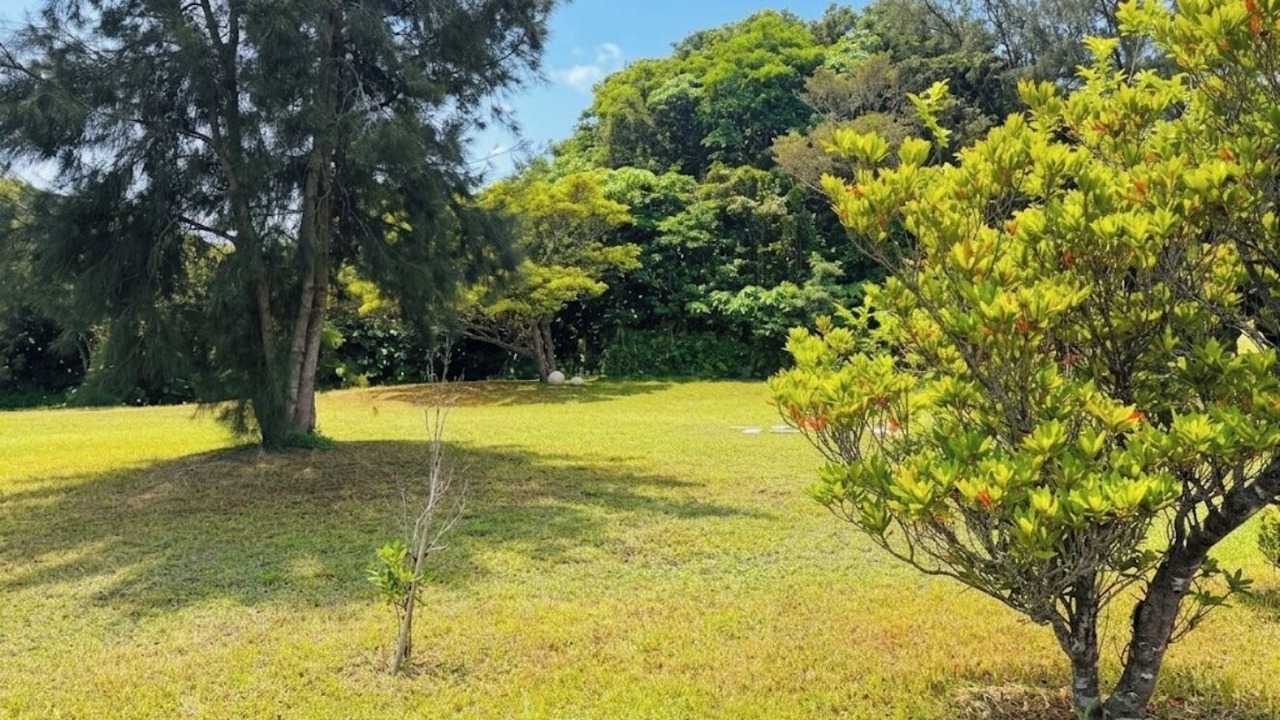 Photo of Outdoor in Azama