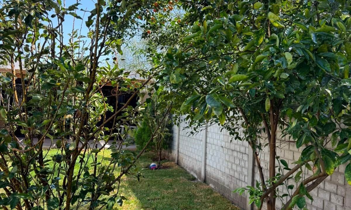 Photo of Outdoor in Ica