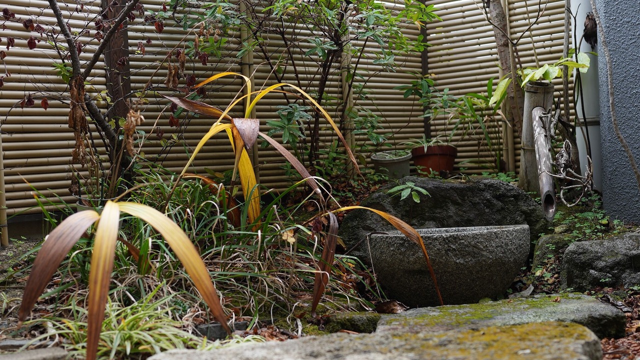 Photo of Outdoor in Chuo-ku