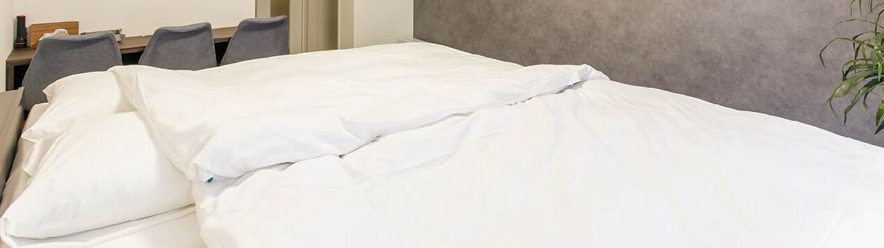 Photo of Bedroom in Nakamura