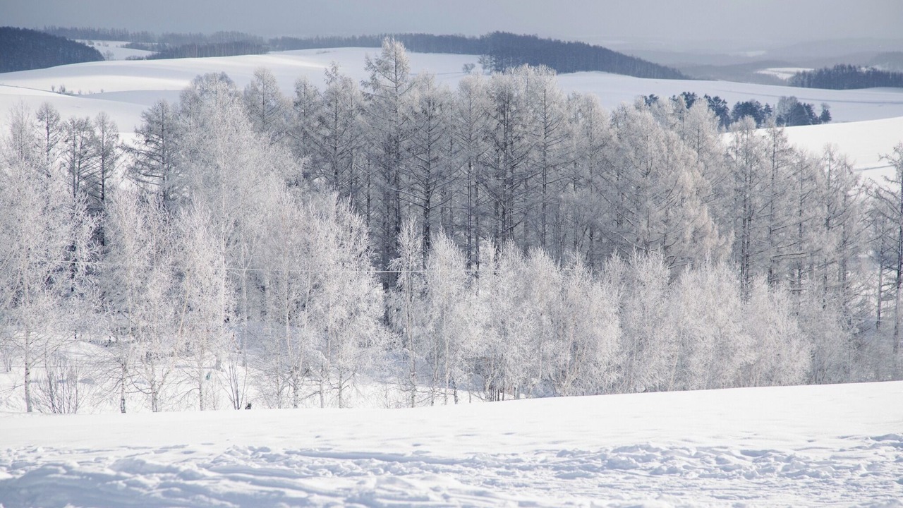 Photo of Others in Biei