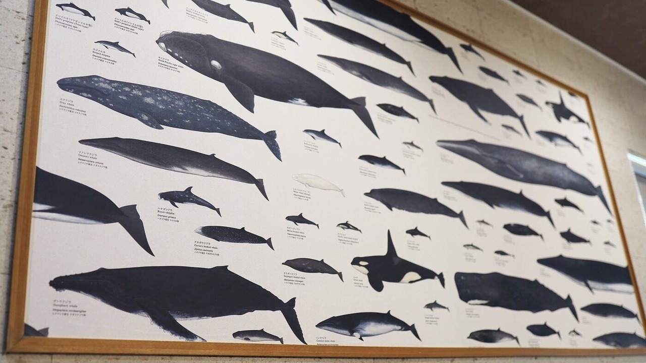 Photo of Others in Otaru