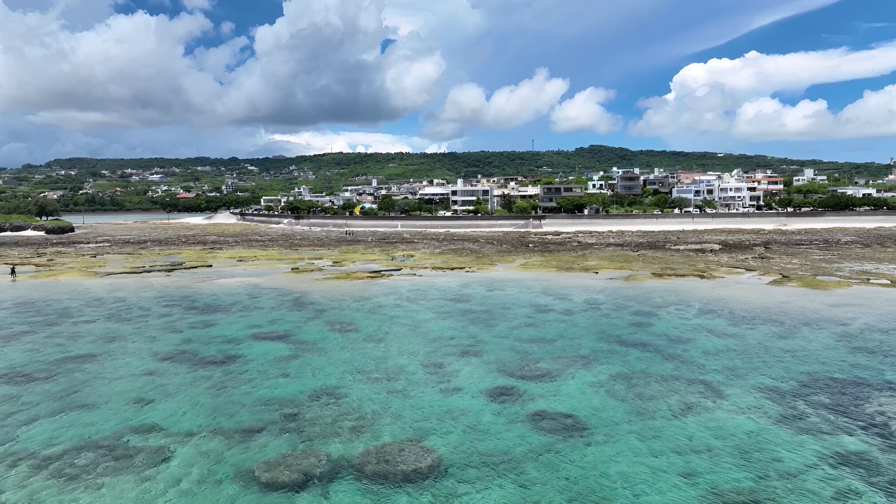 Photo of Others in Ojima Island