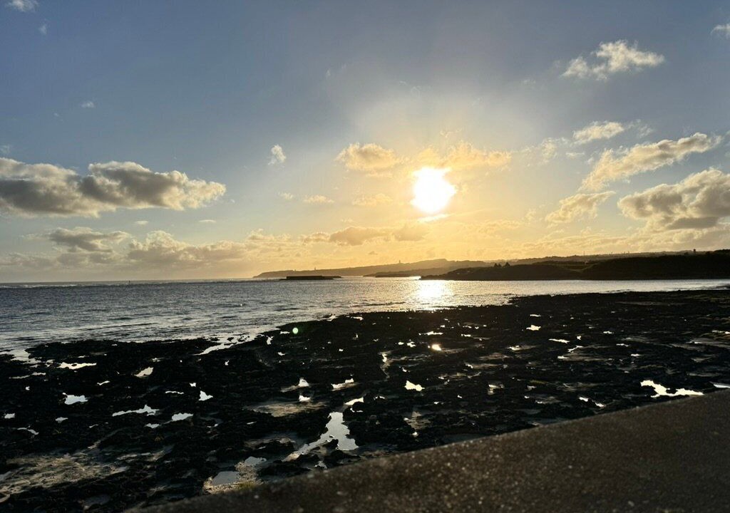 Photo of Others in Ojima Island