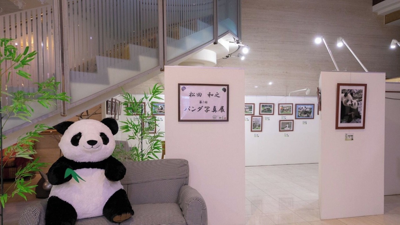 Photo of Others in Tsubaki Onsen