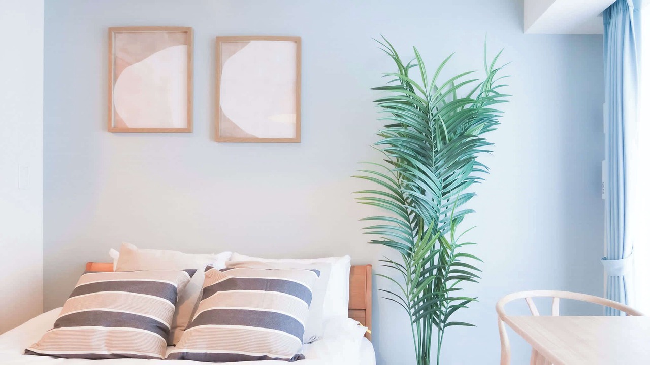 Photo of Bedroom in Minamiotsuka