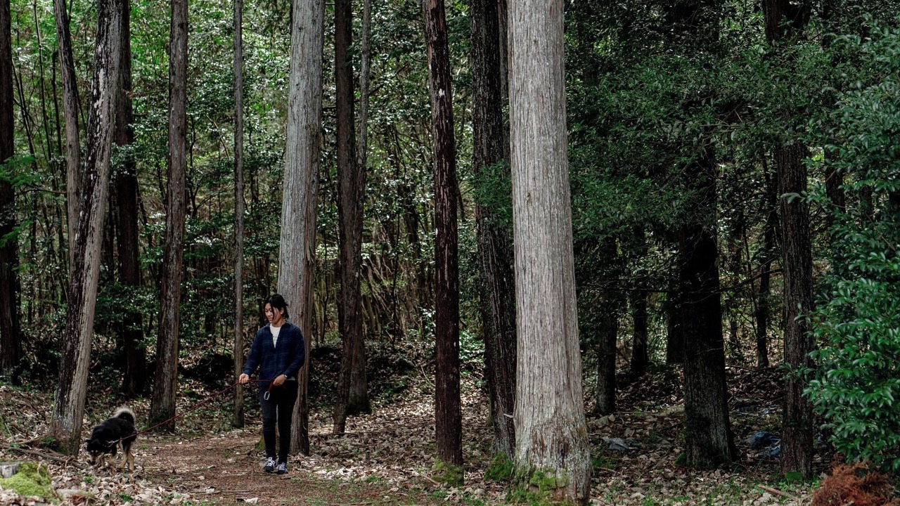 Photo of Others in Mihara