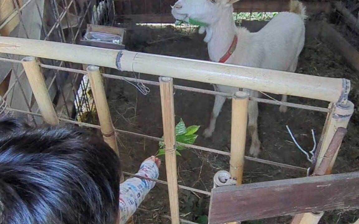 Photo of Others in Mihara