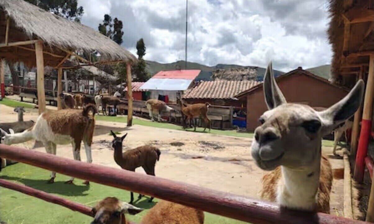 Photo of Others in Calca