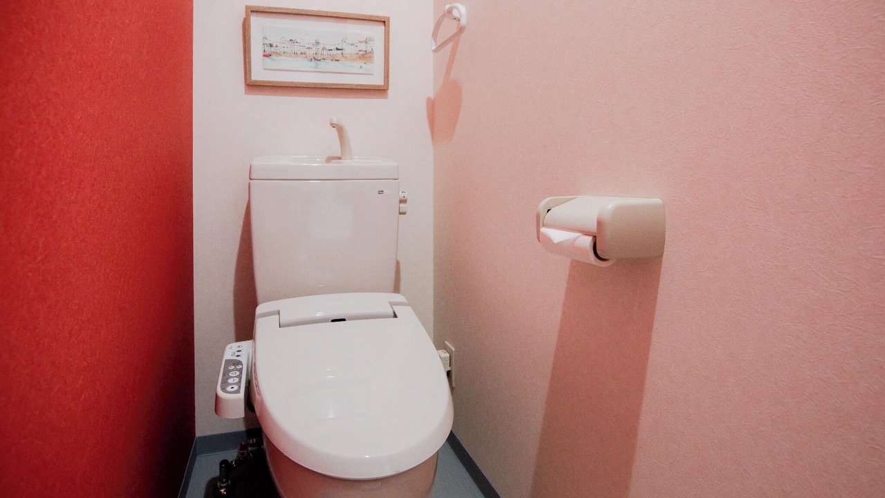 Photo of Bathroom in Minami