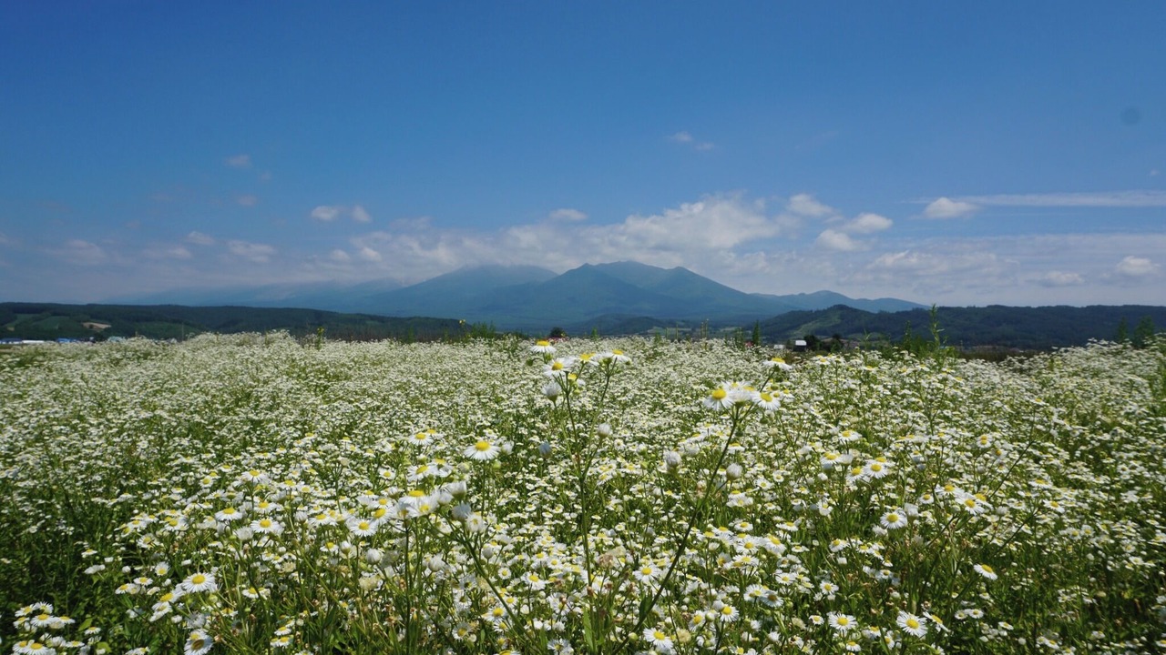 Photo of Others in Sorachi-gun