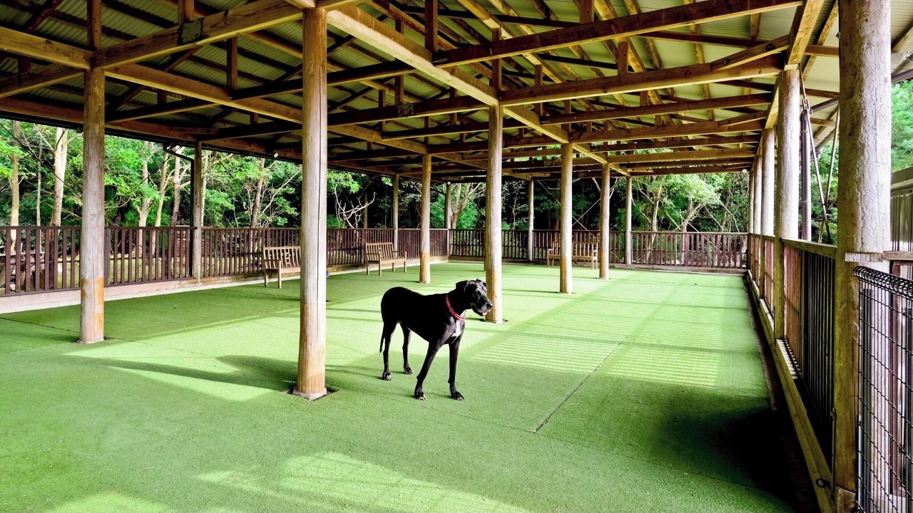 Photo of Outdoor in Yuasa