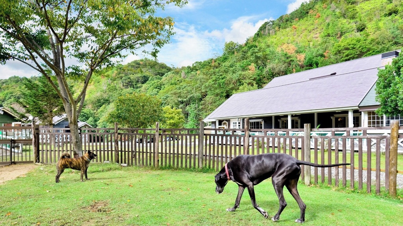 Photo of Outdoor in Yuasa