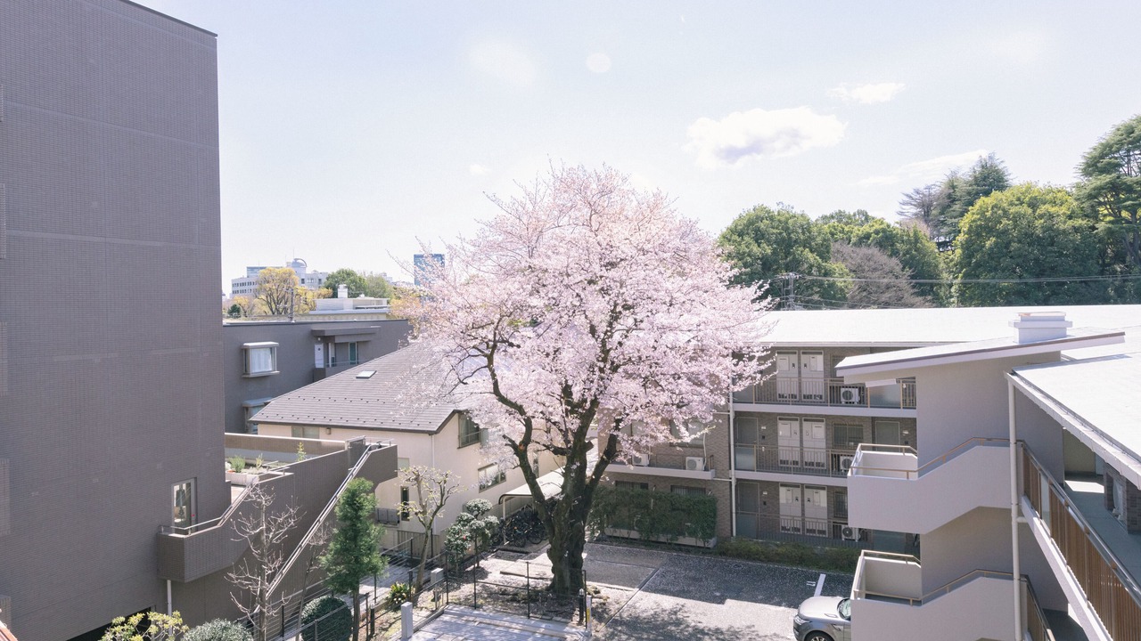 Photo of Outdoor in Meguro