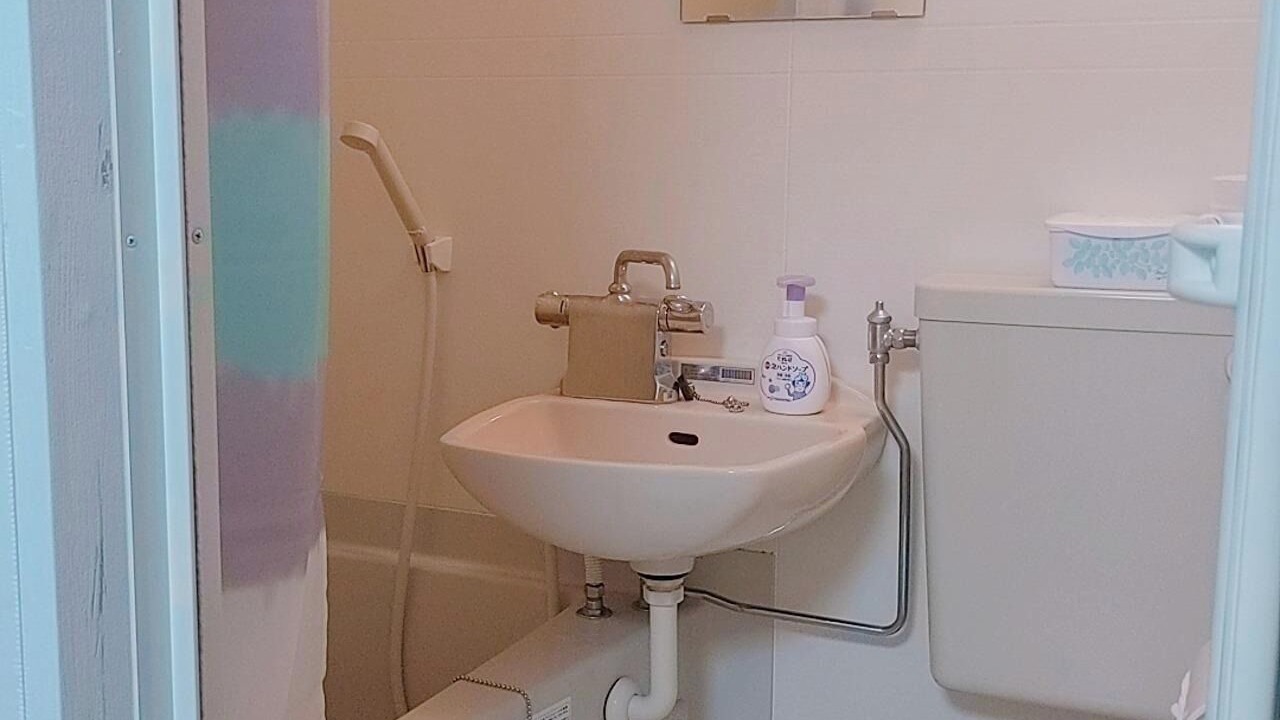 Photo of Bathroom in Asahi