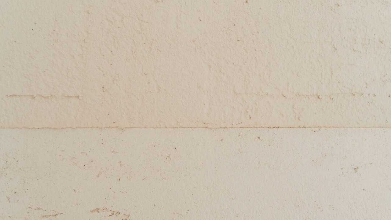Photo of Others in Miyakojima