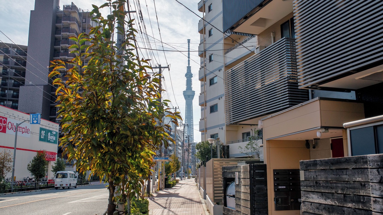 Photo of Others in Sumida