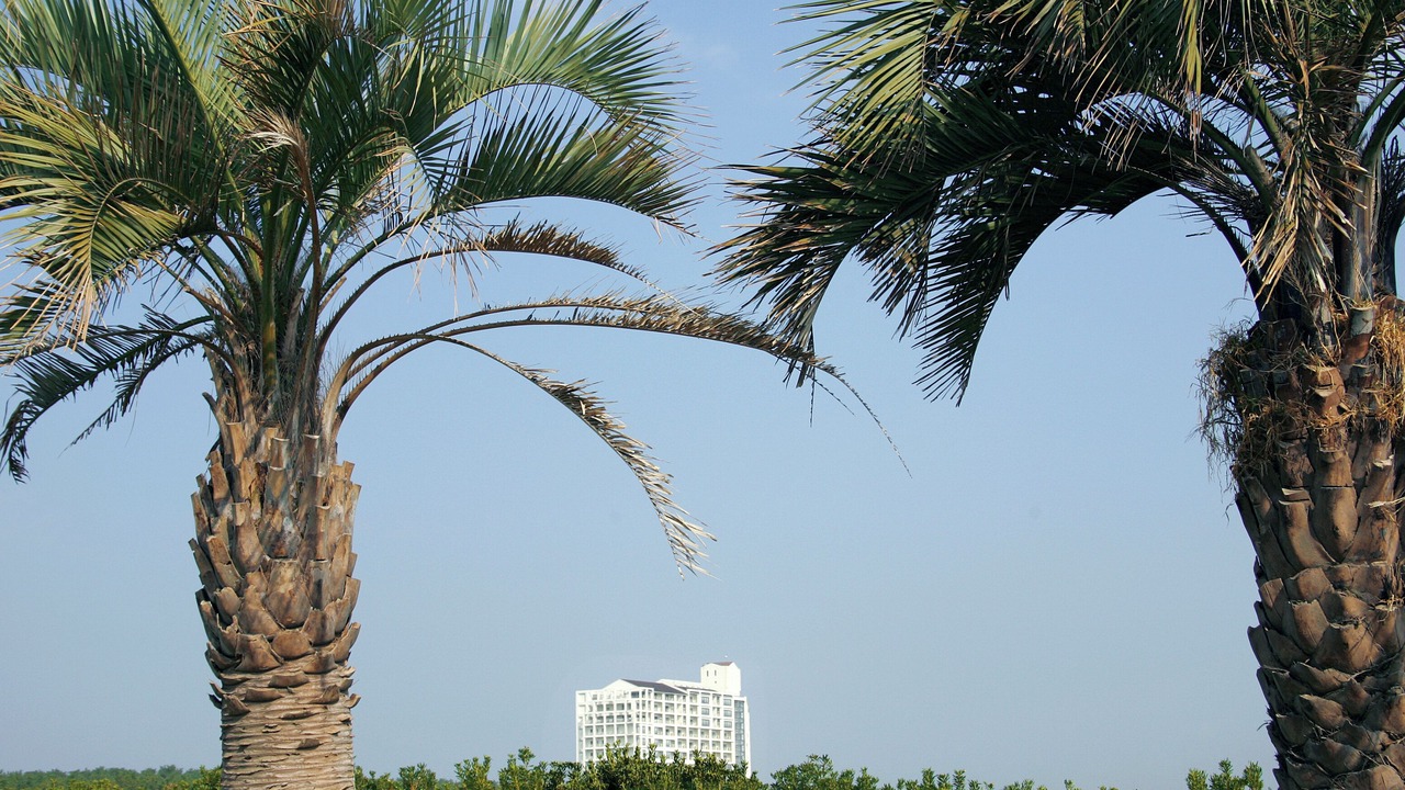 Photo of Outdoor in Miyazaki