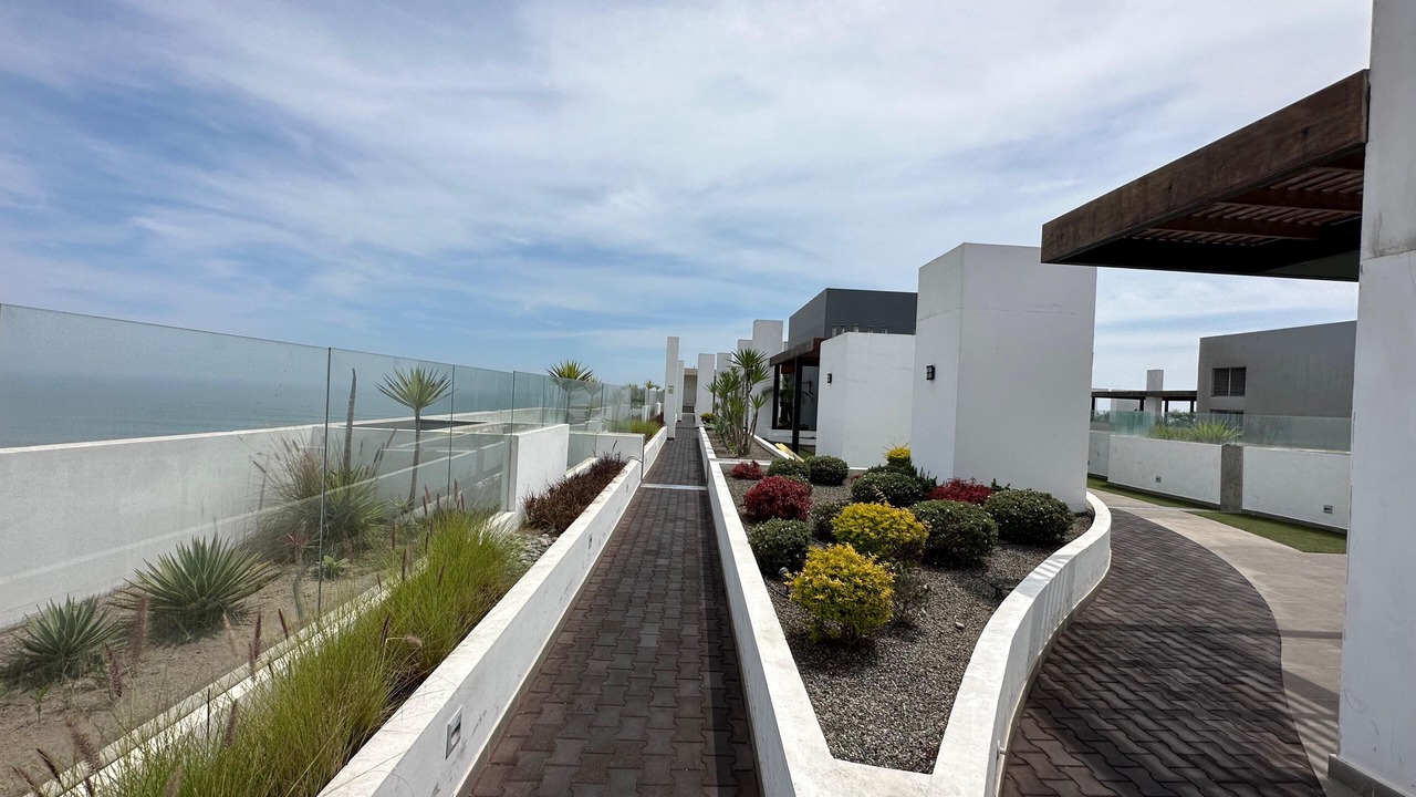 Photo of Outdoor in San Miguel