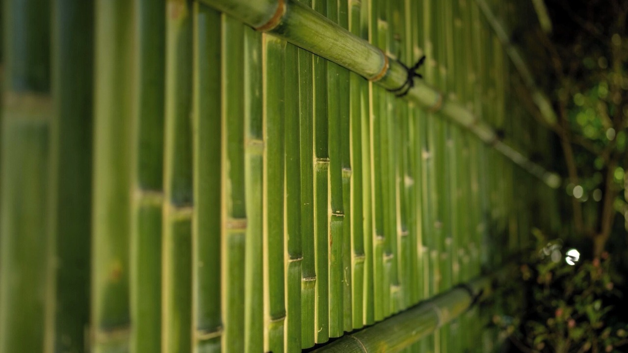 Photo of Outdoor in Minami