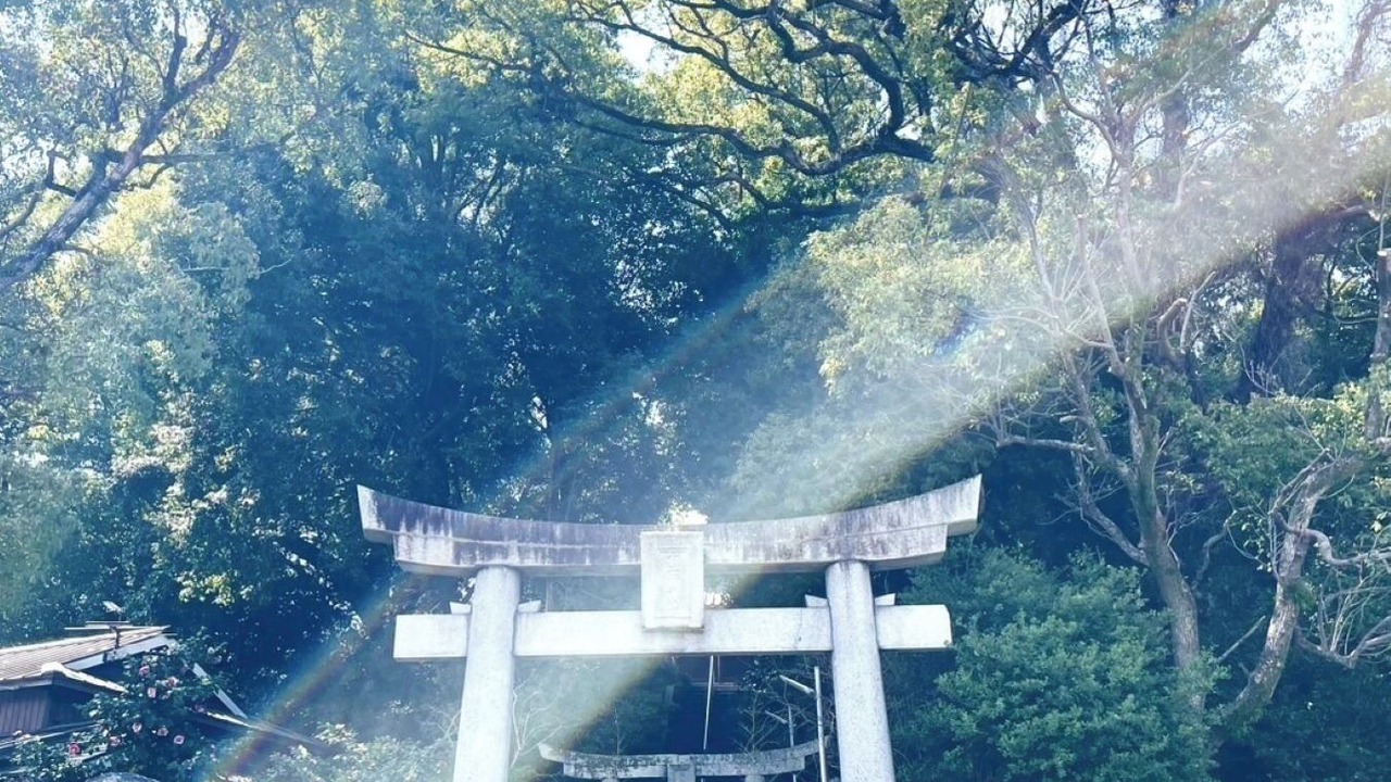 Photo of Others in Yahatanishi