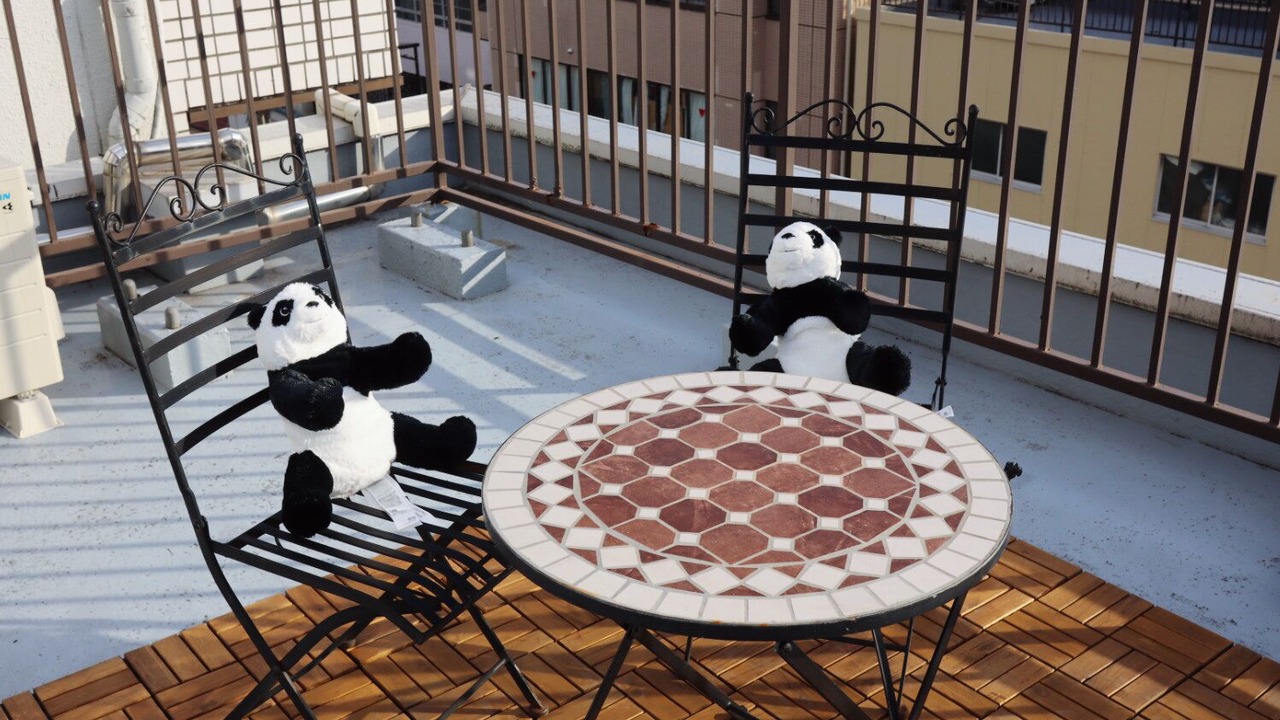 Photo of Outdoor in Asakusa