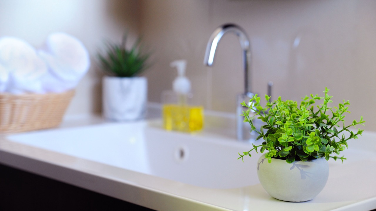 Photo of Bathroom in Motobu